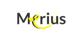 logo-merius
